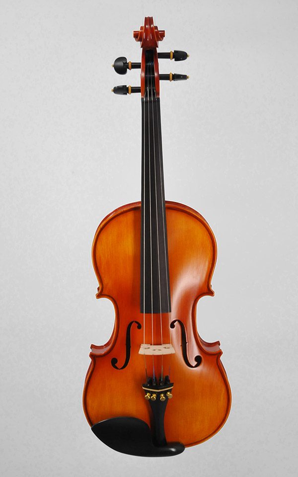 Student Violin 500