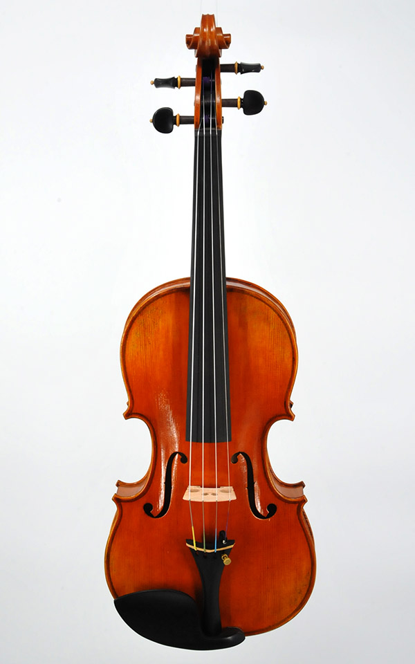 Advanced Violin AN 2800 Available in St. George Utah
