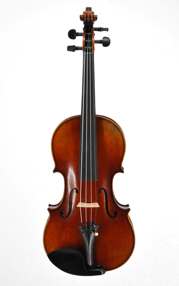 Advanced Violin AN 3400 Brown