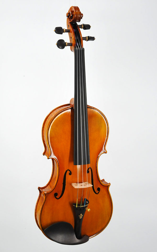 Front of Advanced Violin AN 4200 at Green Gate Village St George
