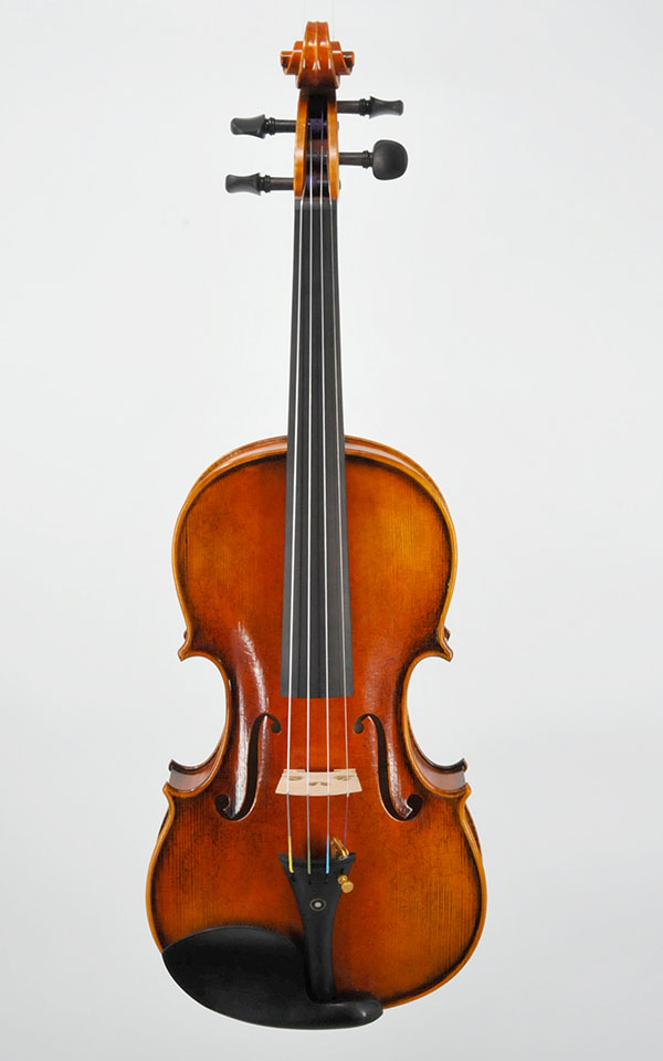 Professional Violin AN 5400 Available at Green Gate Village St George