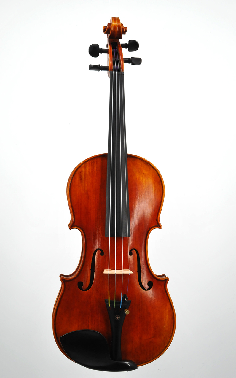 AN 3800 professional violin in St George Utah