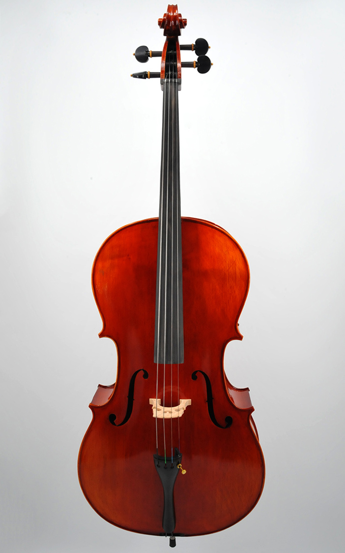 Professional Cello ANC 3800 available in Southern Utah