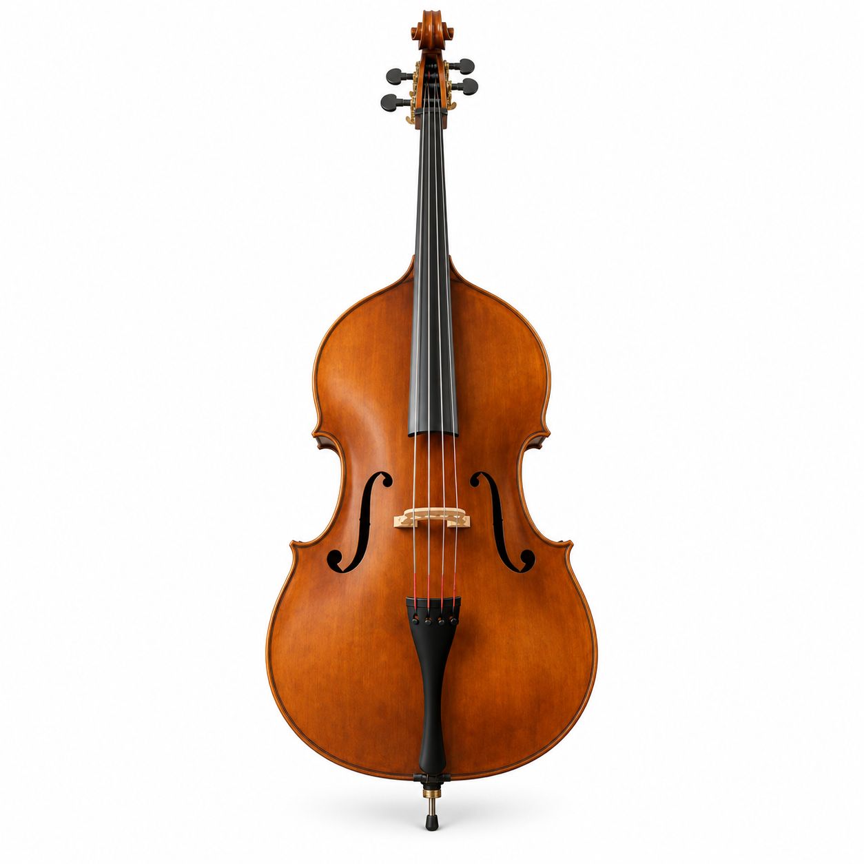Double Bass Purchase