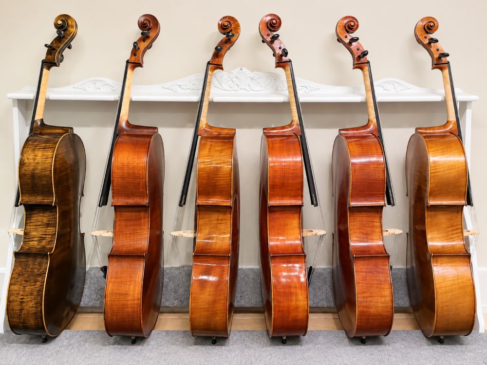 Selection of full size cello at music store in st. george.