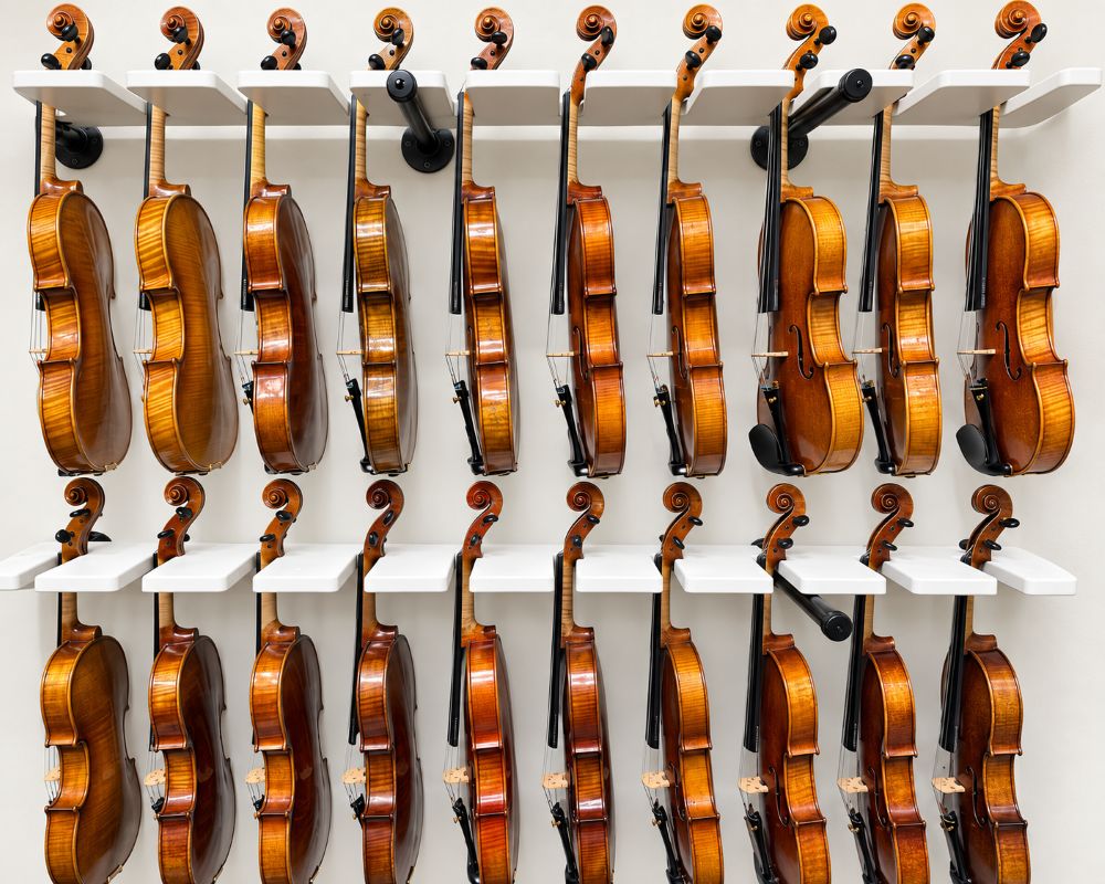 Two rows of violas at a music store.